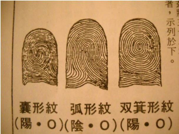 An image of multiple fingerprints, each distinct with unique swirling patterns, arranged across the image