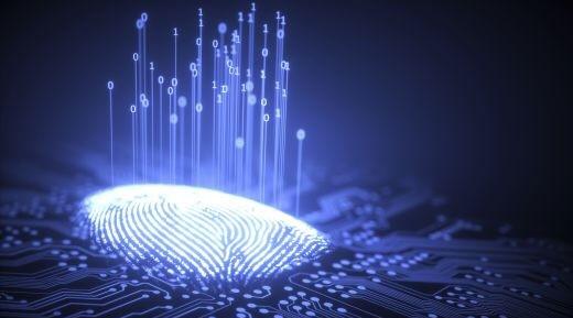 High-resolution digital fingerprint