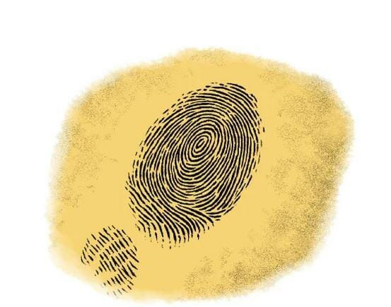 A close-up image of a digital fingerprint, featuring intricate swirling lines and patterns that resemble a human fingerprint