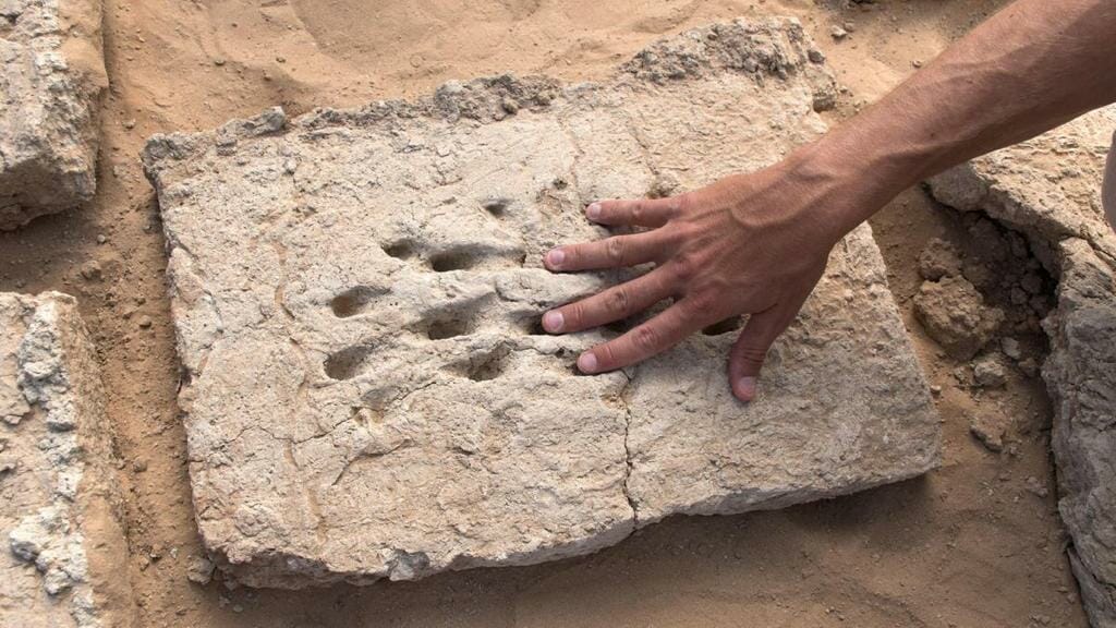 a hand touching a rock.